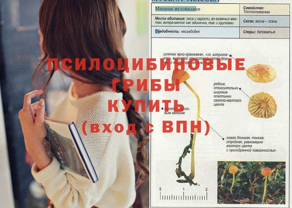 метадон Верея